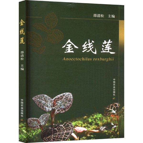 金线莲 中国农业出版社