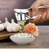 Stainless Steel Garlic Press & Ginger Crusher, Easy to Use, Durable Kitchen Tool