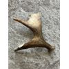 X-Large Dog Chew! Moose Antler! 2 Pounds!