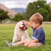Dog Muzzle for Small Medium Dogs Breathable Mesh Dog Muzzle with Adjustable Hook Soft Dog Muzzle Puppy Muzzle to Prevent Biting Chewing and Certain Barking (Red,S)