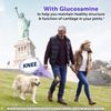 Schiff Glucosamine HCI, 2000 mg Per 2 Coated Tablets, 150 Coated Tablets