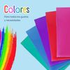 RAYLU PAPER - A4 Document Folder 100% Biodegradable Polypropylene Clear Document Wallets for Home and Office (A4, 10 Pockets, Red)