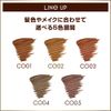 Color On Eyebrow CO03