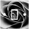 Black & White Rose Light Switch Sticker Skin Cover Decal