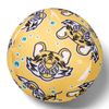 Speedo Unisex Kids Character Water Balls, Assorted, OneSize