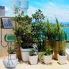 50FT Solar Automatic Drip Irrigation System Kit Plant Watering Timer  Garden