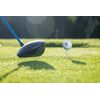PrideSports PTS 3 1/4 Inch Wood Golf Tees, White, 75 Count