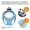 Curli Vest Harness Air-Mesh Skyblue XS