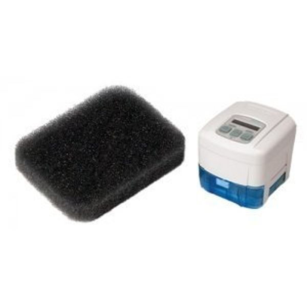 Filters for all IntelliPAP (2-pack)