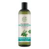 Petal Fresh Pure Rosemary & Mint Shampoo 355ml