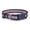 Petface Ox Blood Stripe Pattern Dog Collar, Large
