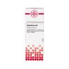 DHU Euphorbium D4 Dilution, 20 ml Lösung