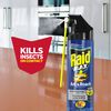 Raid Max Ant and Roach Spray (14.5 OZ,Pack - 1)