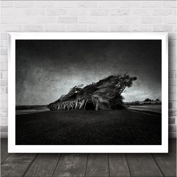 Fingerprint Designs Wind Blown Trees Creative Edit Texture Landscape Windy Wall Art Print