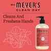 Mrs. Meyer's Hand Soap, Made with Essential Oils, Biodegradable Formula, Rhubarb, 12.5 fl. oz - Pack of 3