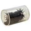 Eisco Labs Basic Magnetic Field Chamber - 3.625" by 2.3125" Diameter