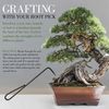 BambooMN Bonsai 2pc Set - 9" Root Pick and 9" Root Rake - 10 Sets