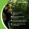 Natures Plus Acti-Zyme Vcaps 90 (Uk)