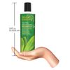 Desert Essence Tea Tree Conditioner - 12.9 fl oz