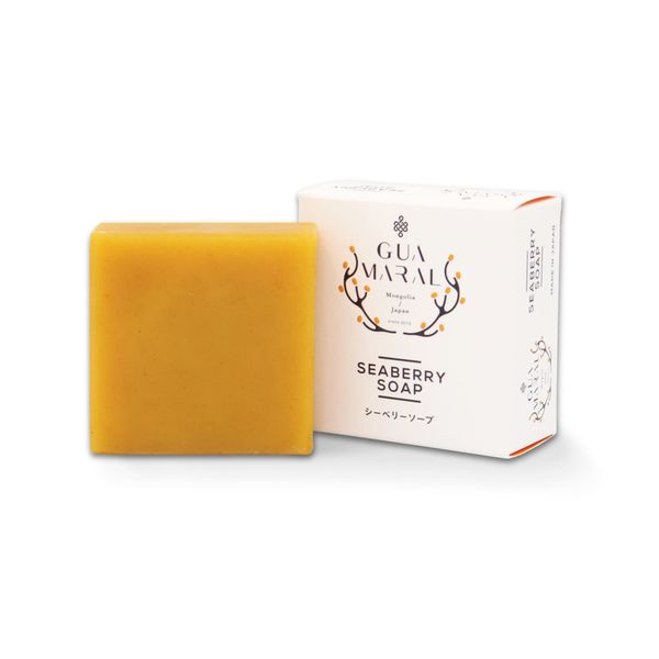 Guamaral Sagi Seaberry Soap, 3.5 oz (100 g), Made in Japan, Ghee