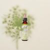 Bach Original Flower Remedies, Mustard - Be Joyful - Natural Homeopathic Flower Essence for Emotional Balance - Vegan, Gluten Free, Sugar Free - 20mL Dropper