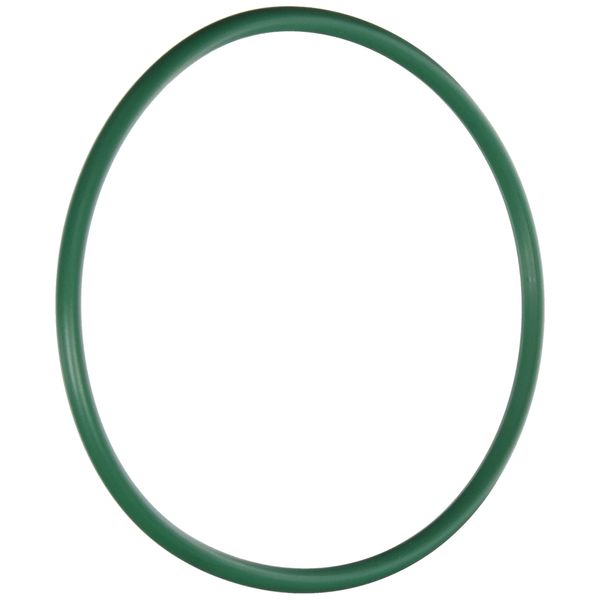 Motorcraft CG-807 Fuel Tank Lock Ring