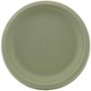 World Centric's Biodegradable and Compostable Wheat Straw 9" Plates (Package of 200)