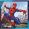 3 in 1 Puzzle Spiderman