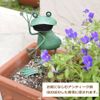 ga-deno-namento Frog Unique