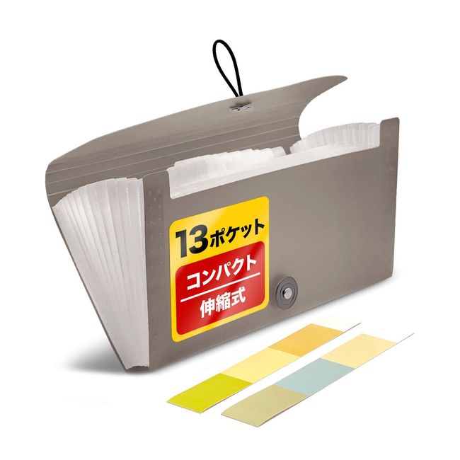 SIMPS Document File (13 Pockets) For Managing Receipts / Vouchers (Pockets Widen!) Name Label Included, Thin, Portable (Width: 10.2 inches (26 cm), Height: 5.5 inches (14 cm), Thickness: 1.1 inches (2.7 cm), Receipt File, Storage File (Clear Black)