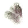 O.F.T. Fly Tying Material C.D.C. CUL-DE-CANARD, Natural White