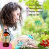 Naissance Virgin Neem Oil (No. 235) - 500ml - Pure, Natural, Unrefined, Vegan - For Hair, Nail, Eyebrow, Scalp, Skin, Body & Plants