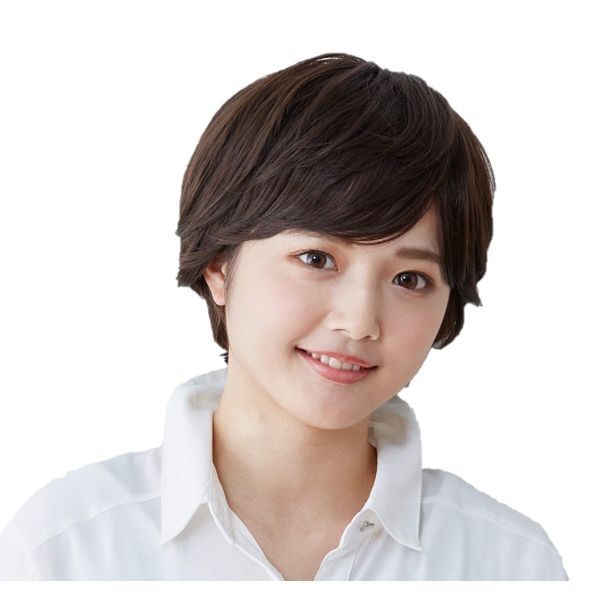 lapis hair cap short type