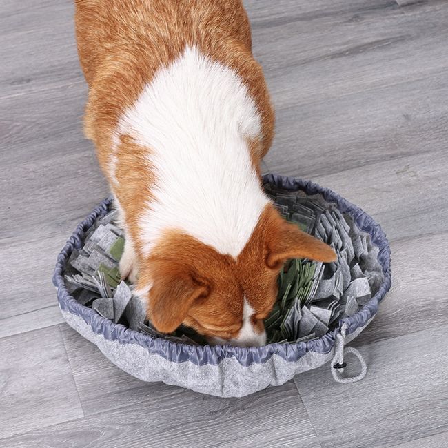 Dog Snuffle Mat Pet Leak Food Anti Choking Mat Cat Dog Sniffing Training  Blanket Nosework Puzzle