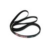 GENUINE PROLINE Tumble Dryer Stretch Drum Belt - 1860H9E