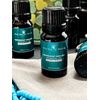 Peppermint Organic Essential Oil