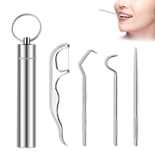 LZZEM 4Pcs Stainless Steel Toothpick Set Metal Toothpick with Toothpick Holder Reusable Dental Picks Travel Toothpick in Case Portable Toothpicks Holder for Outdoor Picnic Camping and Travel