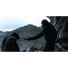 COFFRET LA PLANèTE DES SINGES