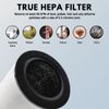 Nispira MD01 MD02 Mod/Mod+ Replacement Filter for Mod/Mod+ Air Purifier, 4 Packs