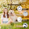 Adjustable Training Collar with Quick Release Buckle, No Pull Collar for Small Medium Large Dogs,Packed with Extra 2 Links,S