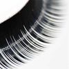 AIVIL Premium Eyelash C/0.1/12mm