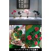 Paper Napkins Medium + 2 Pack Decoupage 20 Piece 2 Ply 33 X/33 cm