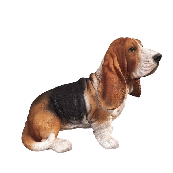 Vivid Arts - Bassett Hound - XRL-BASS-D