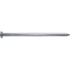 4 Inch Bright Common Nail (20D) 1 pound ~26 Nails. Good for general construction projects