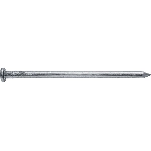4 Inch Bright Common Nail (20D) 1 pound ~26 Nails. Good for general construction projects