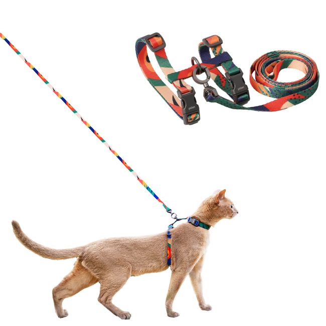 pidan Cat Harness, Double Lock, Easy, Cat Leash Harness Set, Set of 2, One Touch Adjustable, Cat Harness (A2 Colorful)