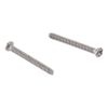 Machine Screws 30pcs M2 Cross Head 304 Stainless Steel Knobs Screws Phillips Drive Screws Drawer Handle