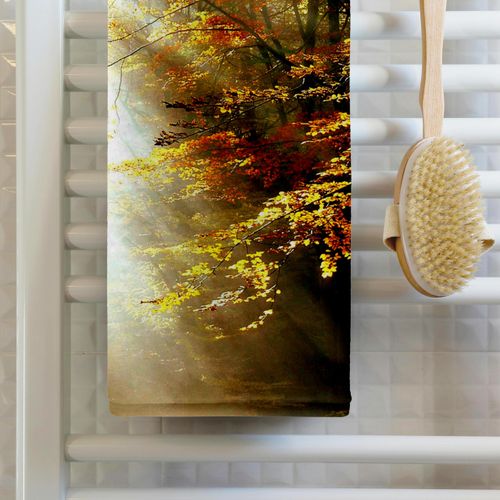 3dRose 22x30 Bath Hand Pool Towel - Image of Sunlight Filters Thru Forest Trees