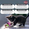 Trixie Cat Activity Snack Ball, 6 cm, All Breed Sizes