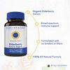 Rejuvenation Therapeutics Elderberry - Elderberry Capsules for Immune Support -Elderberry Cold Fighter